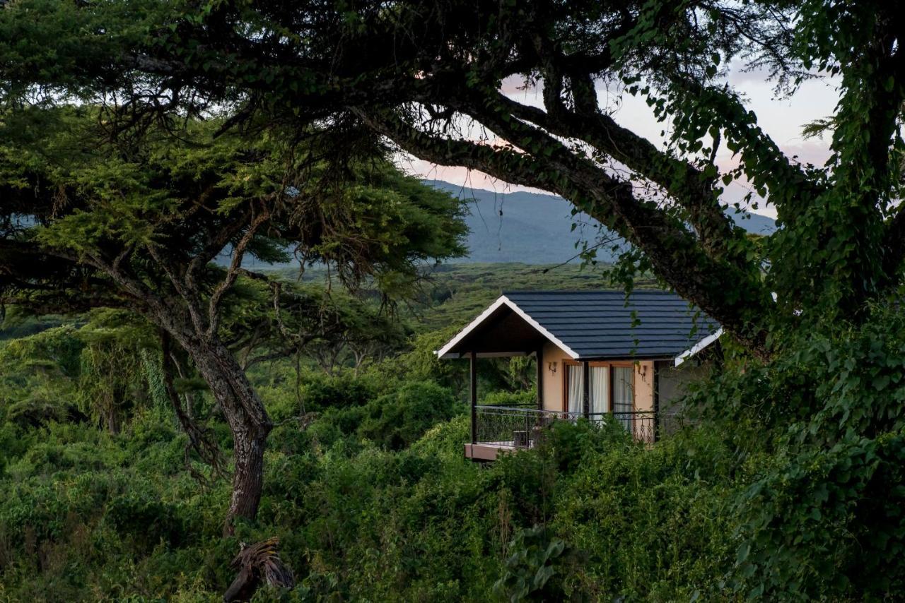 Hotel Lions Paw Ngorongoro Zewnętrze zdjęcie