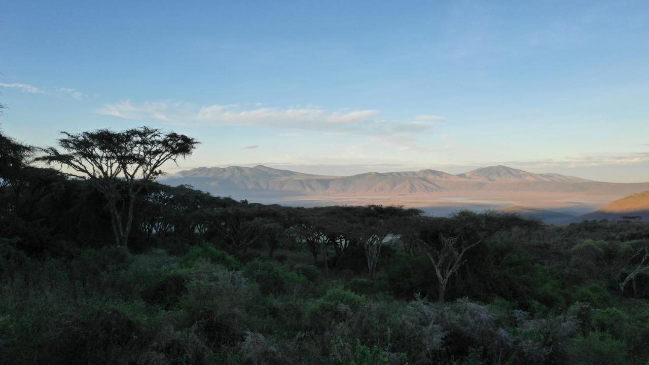Hotel Lions Paw Ngorongoro Zewnętrze zdjęcie