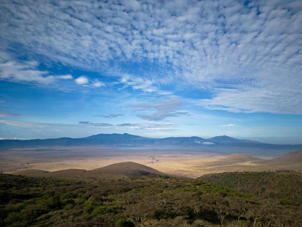 Hotel Lions Paw Ngorongoro Zewnętrze zdjęcie