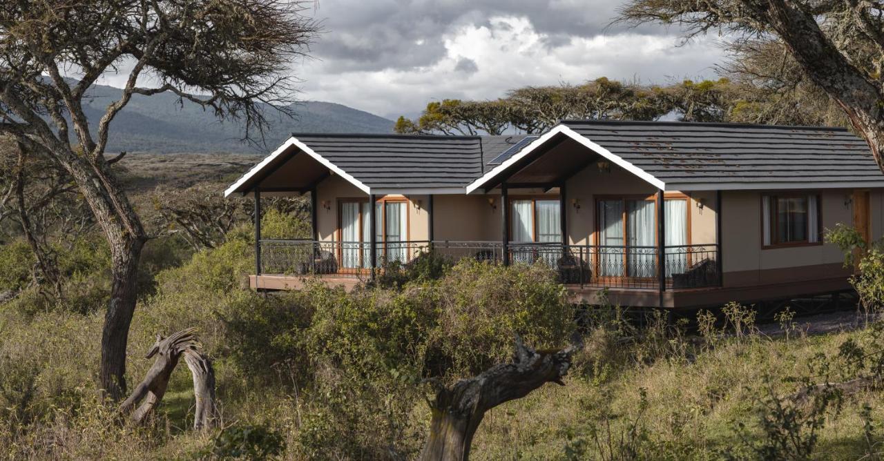 Hotel Lions Paw Ngorongoro Zewnętrze zdjęcie