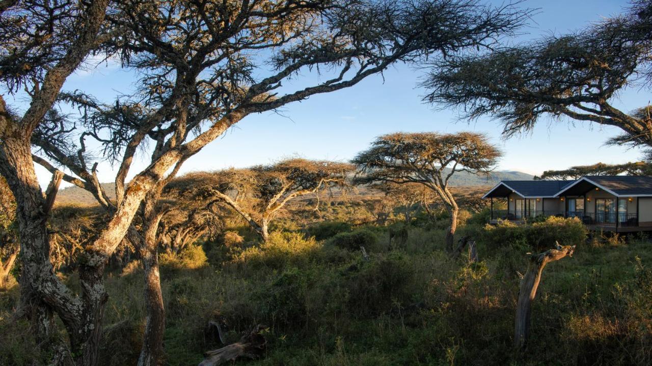 Hotel Lions Paw Ngorongoro Zewnętrze zdjęcie